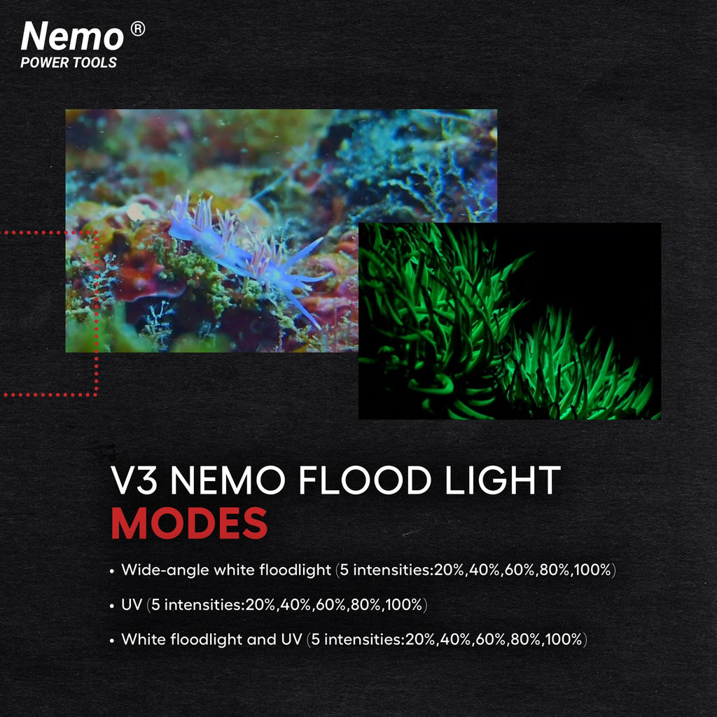 V3 Nemo Flood Light - 15000 Lumens
